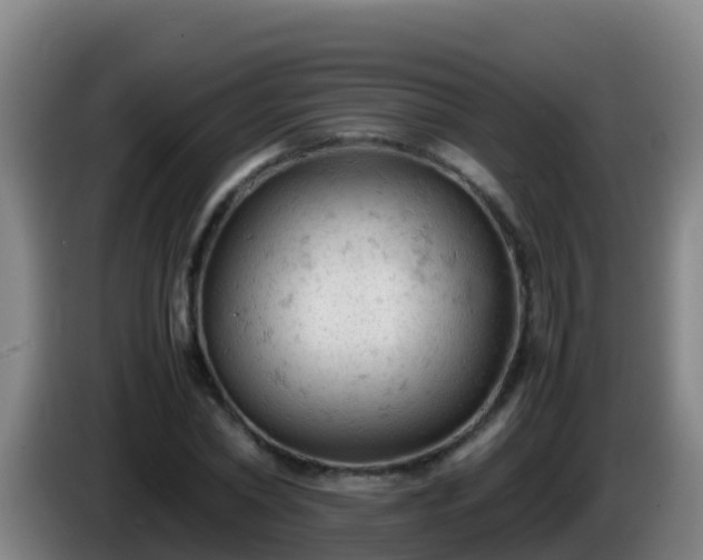 X0000086030782200703301053