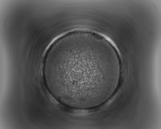 X0000086030783200703301053