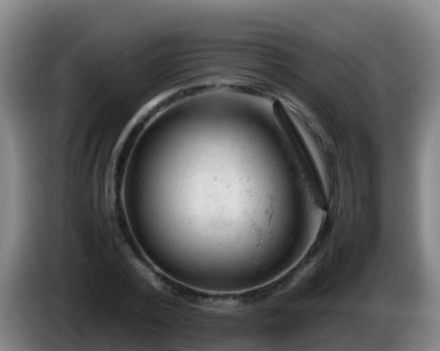 X0000086030784200703301053