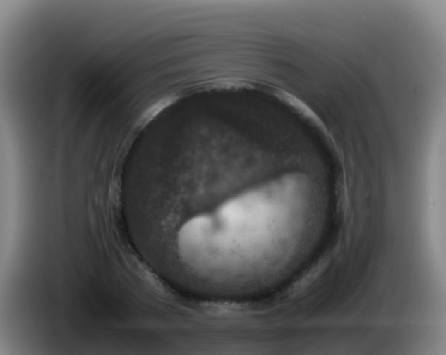 X0000086030785200703301053