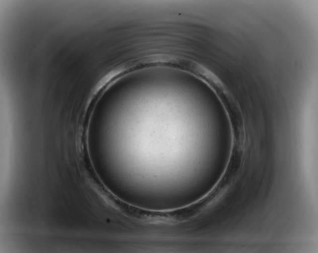 X0000086030786200703301053