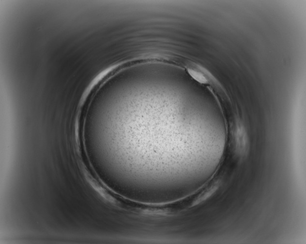 X0000086030788200703301053