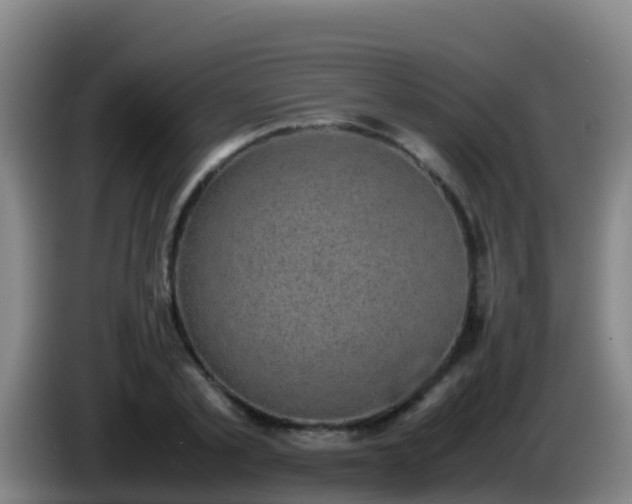 X0000086030789200703301053