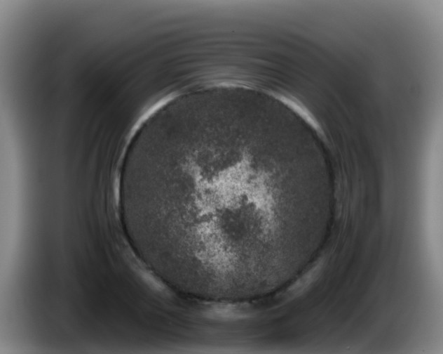 X0000086030790200703301053