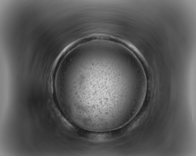 X0000086030791200703301053