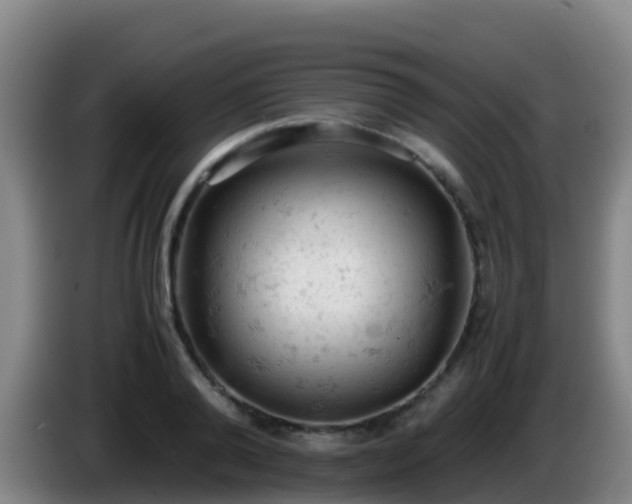 X0000086030792200703301053