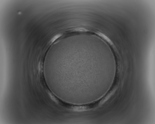 X0000086030793200703301053