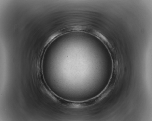 X0000086030794200703301053