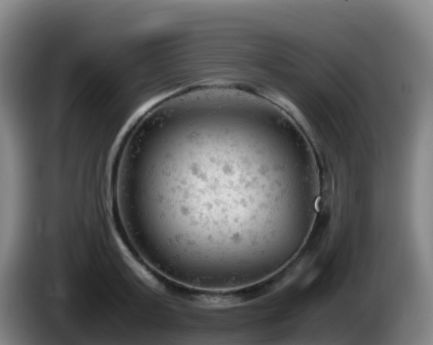 X0000086030795200703301053