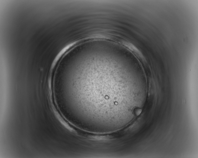 X0000086030796200703301053