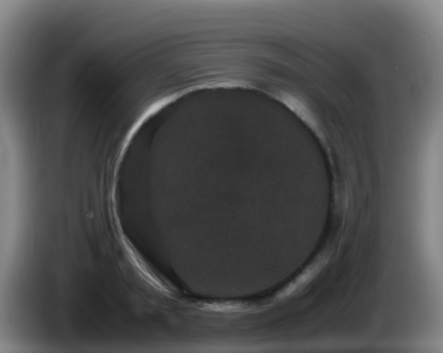 X0000086030797200703301053