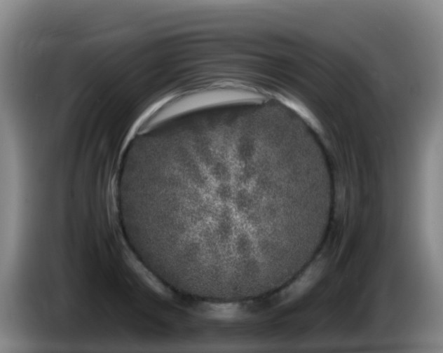 X0000086030798200703301053