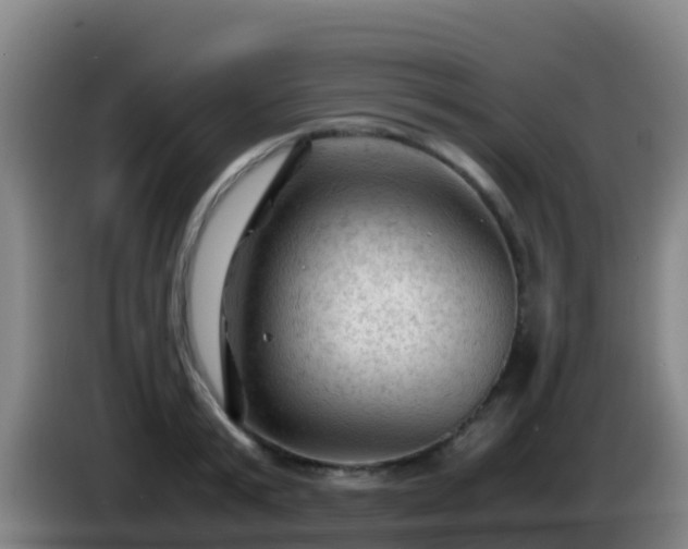 X0000086030799200703301053