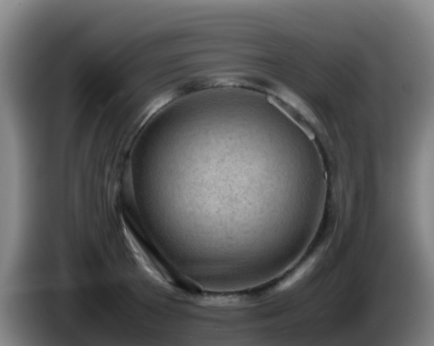 X0000086030801200703301053