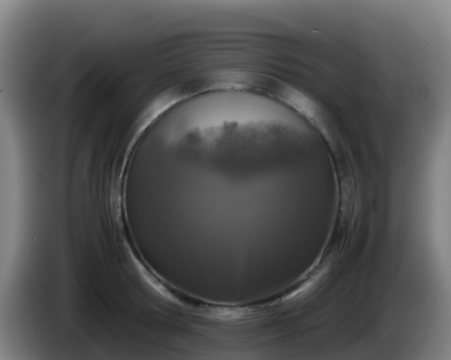 X0000086030802200703301053