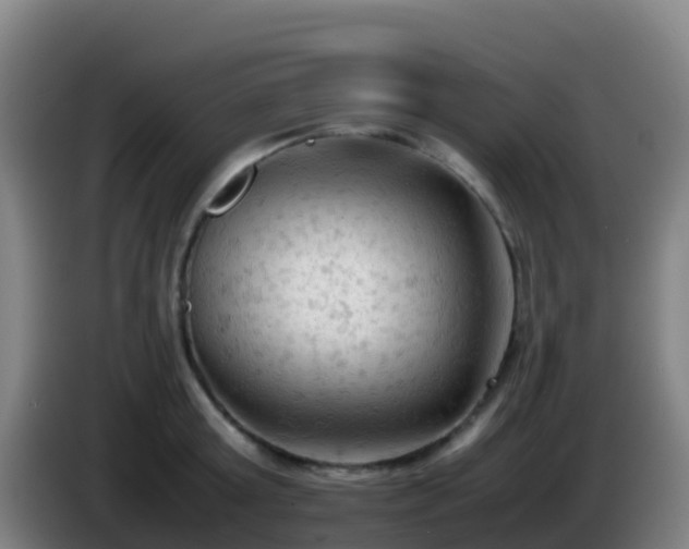 X0000086030803200703301053