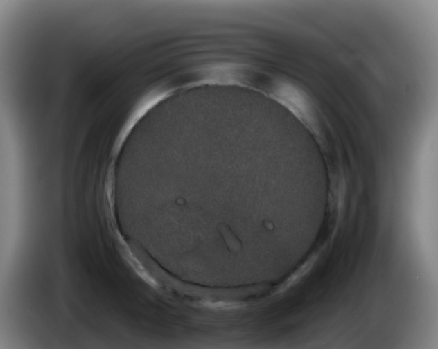 X0000086030804200703301053