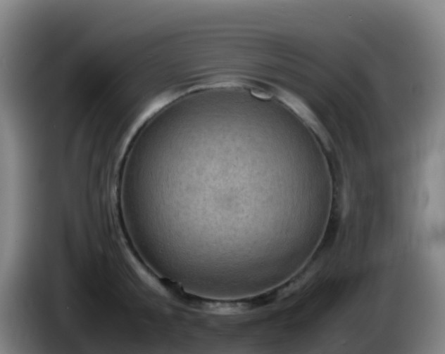 X0000086030805200703301053