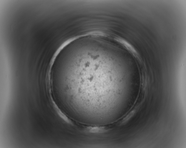 X0000086030808200703301053