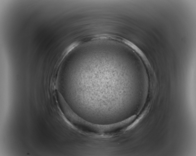 X0000086030809200703301053