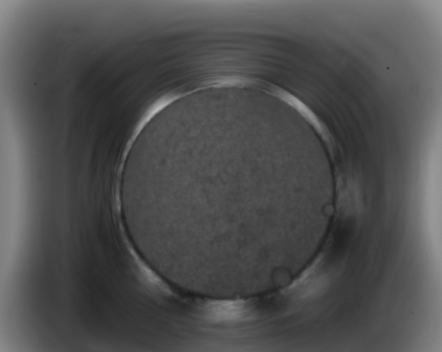 X0000086030810200703301053