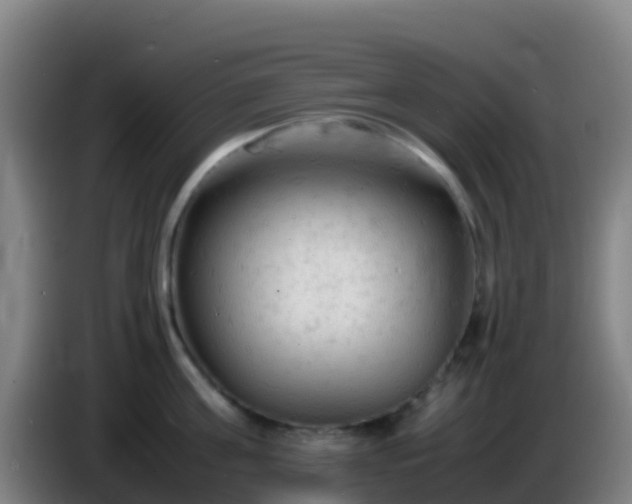 X0000086030811200703301053