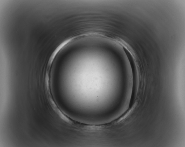 X0000086030812200703301053