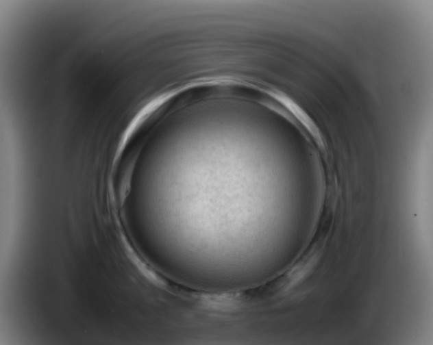 X0000086030813200703301053