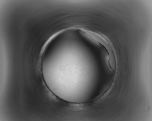 X0000086030816200703301053