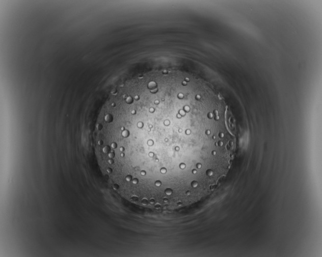 X0000086030819200703301052