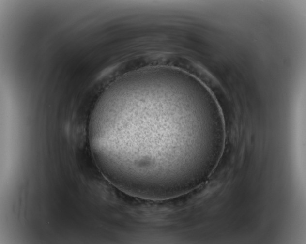 X0000086030821200703301052