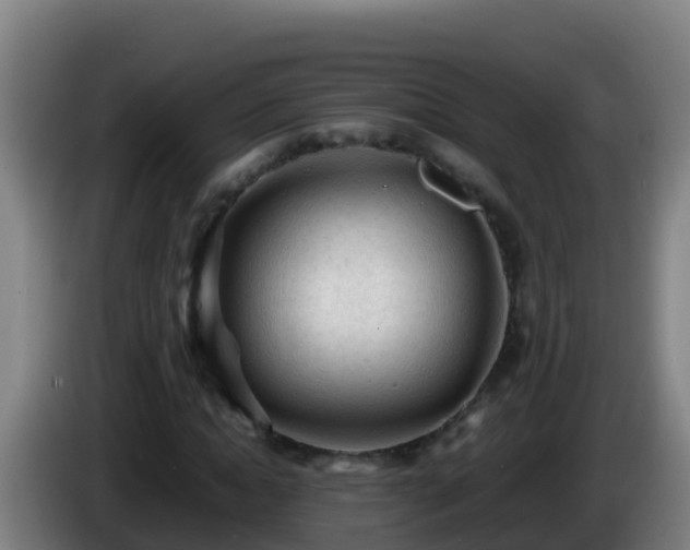 X0000086030822200703301052