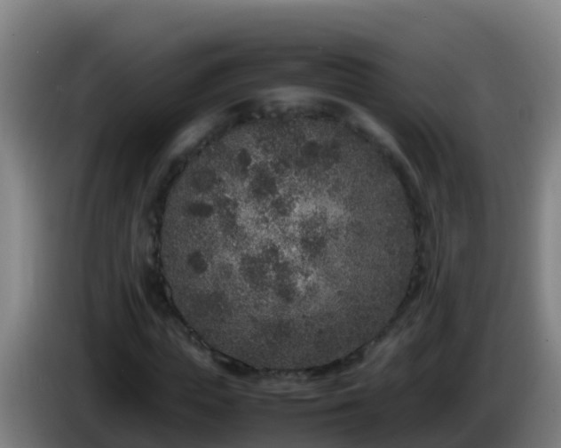 X0000086030823200703301052