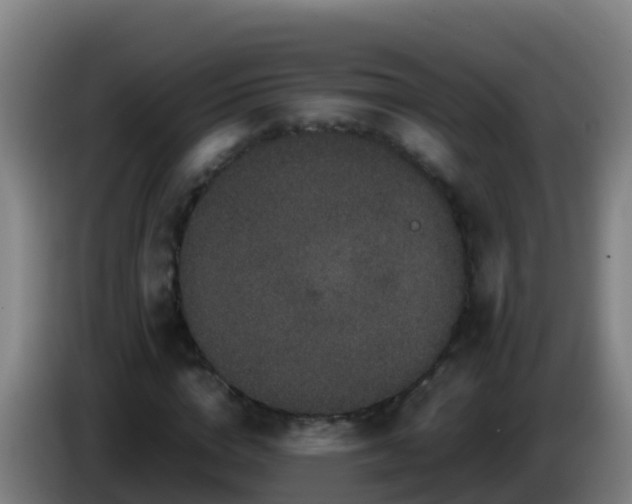 X0000086030824200703301052