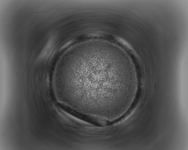 X0000086030825200703301052