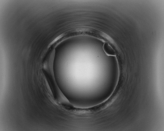 X0000086030826200703301052