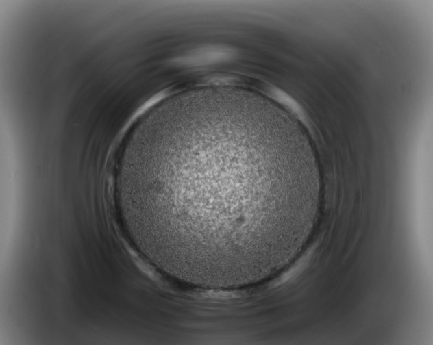 X0000086030827200703301052