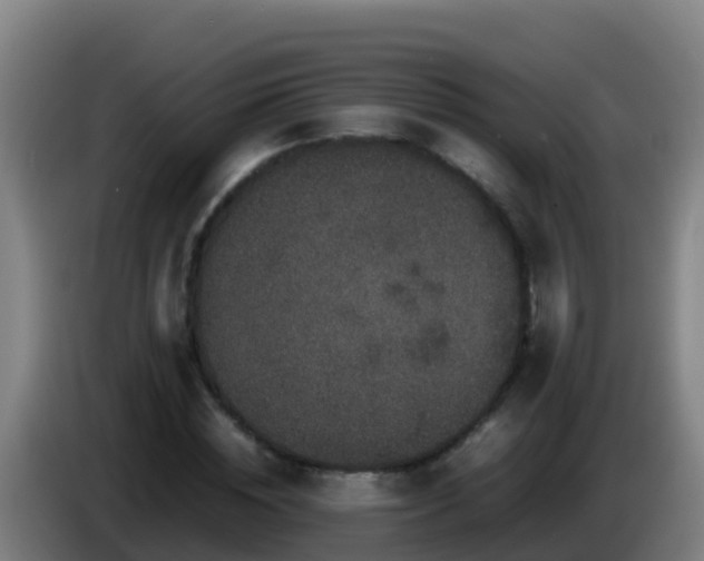 X0000086030828200703301052