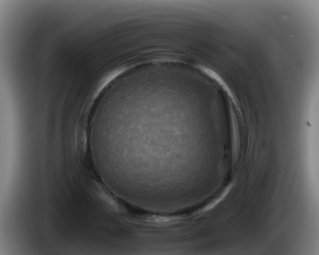 X0000086030829200703301052