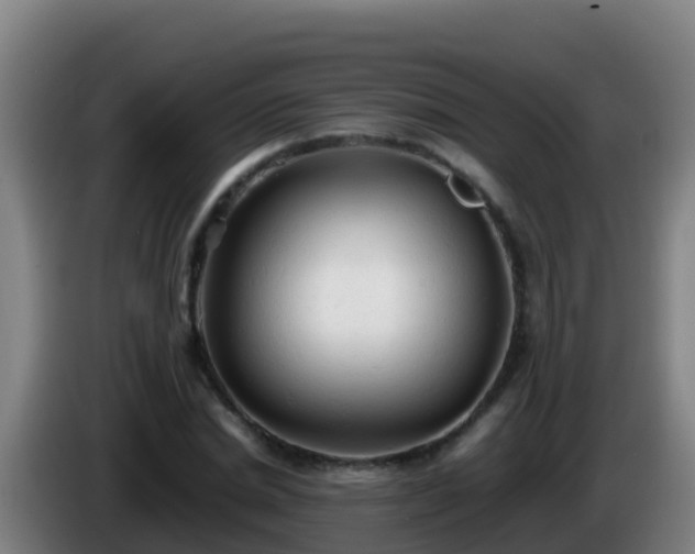 X0000086030830200703301052