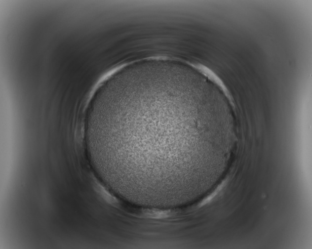 X0000086030831200703301052