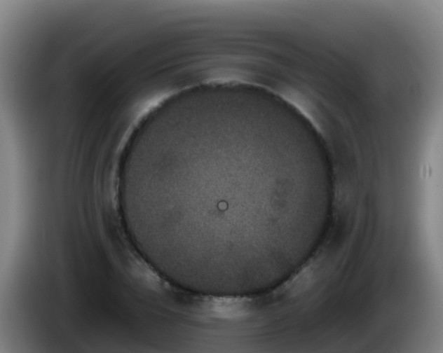 X0000086030832200703301052