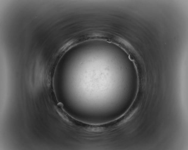 X0000086030833200703301052