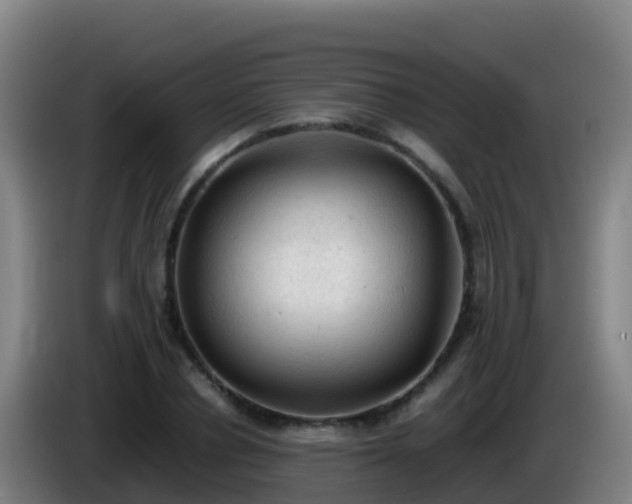 X0000086030834200703301052