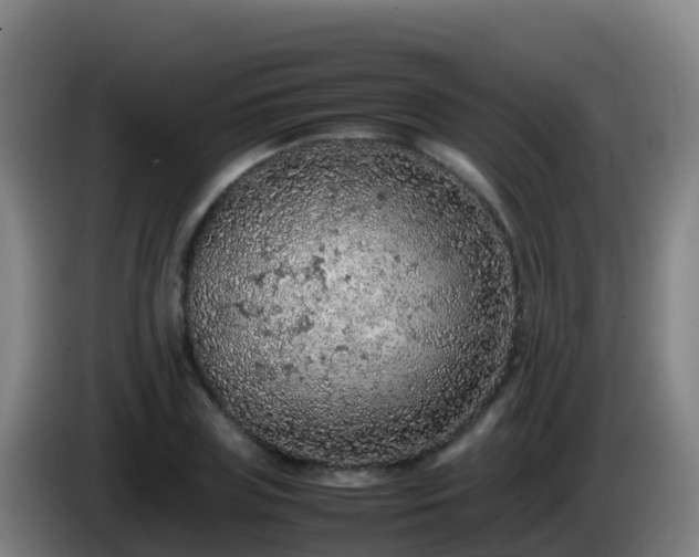 X0000086030835200703301052