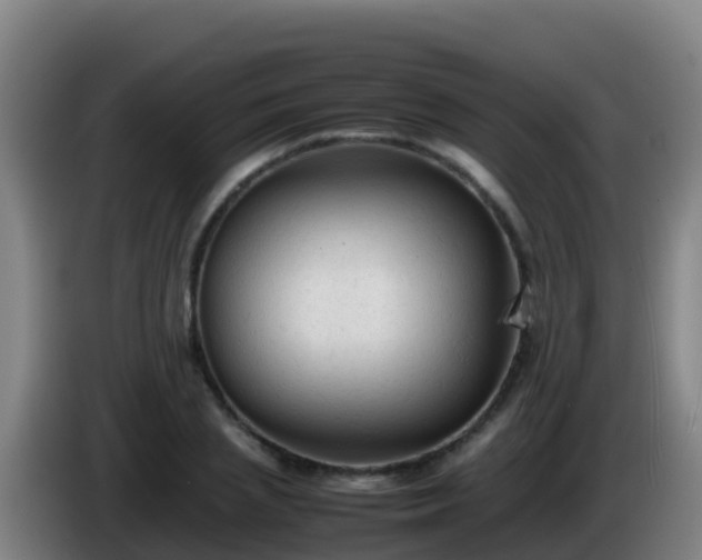 X0000086030837200703301052