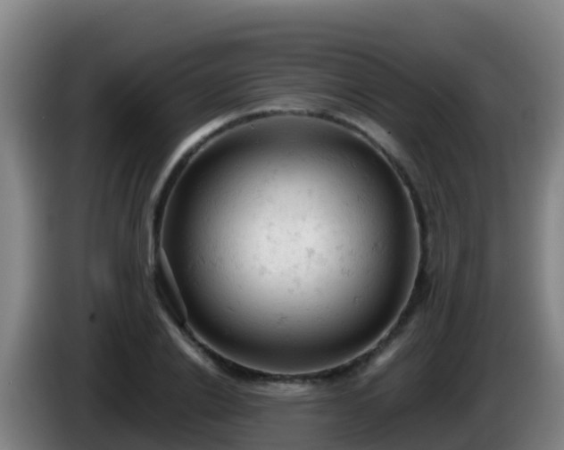 X0000086030838200703301052