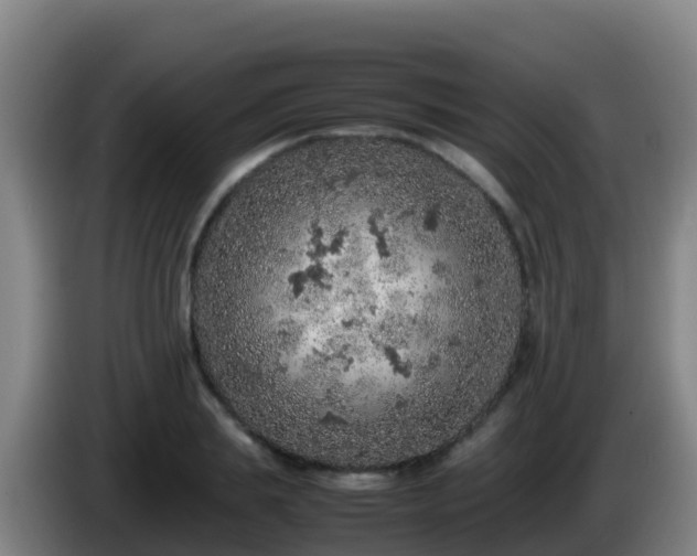 X0000086030839200703301052