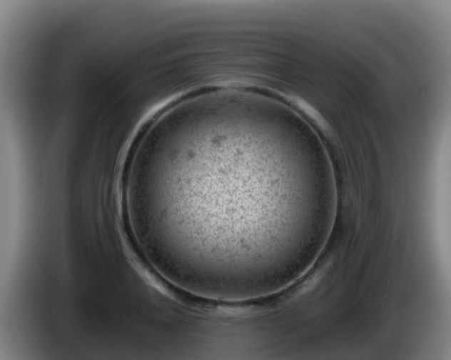 X0000086030840200703301052