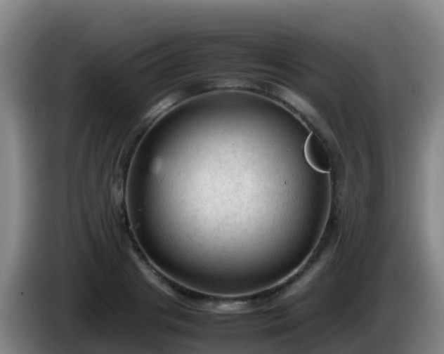 X0000086030841200703301052